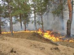 In the Kherson region 20 hectares of forest burns