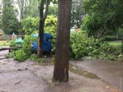 Bad weather knocked down 12 trees in Odessa
