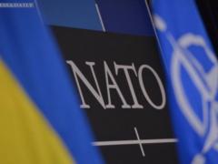 Украина получила от НАТО оборудование для разминирования