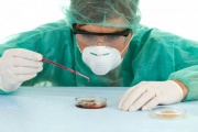 In the Ivanovo region introduced the regime of emergency because of the plague