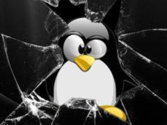 Інтернет Речей збільшує кількість шкідливого ПЗ для Linux