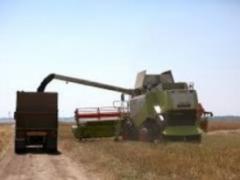 На Харківщині жінку збила вантажівка