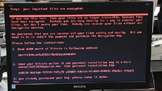 Doc заявив про швидке відновлення роботи після атаки вірусу Petya