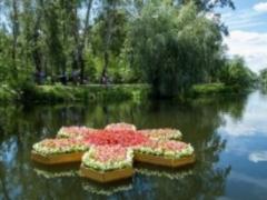 В столице пройдет фестиваль клумб на воде