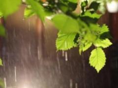 Wednesday in Ukraine plus 30, in some places - thunderstorms with hail