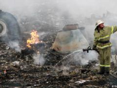 Адвокат жертв MH17 призвал Путина искупить вину