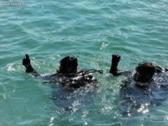 Sea Breeze in Odessa: divers of four countries searched for mines in the sea