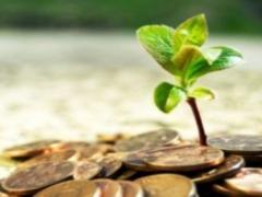 Цього року аграрії вже отримали 1,3 млрд гривень дотації