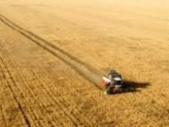 In Ukraine, already harvested 6.5 million tons of grain