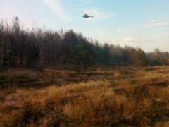 Лесной пожар в Херсонской области локализован,  ГосЧС