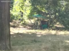 Одесит вивіз маму в парк, обіцяючи забрати через два дня. Минуло півтора місяця