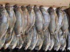 Нові випадки ботулізму в Україні