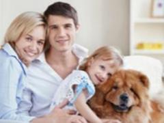 Що робити, якщо лімфоцити в крові підвищені