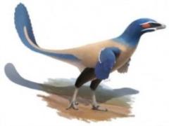 Discovered a new kind of dinosaurs