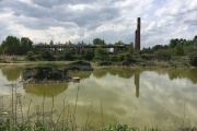 Pork feces from the agro-complex near Nizhny Tagil caused damage to the soil by almost 8 million