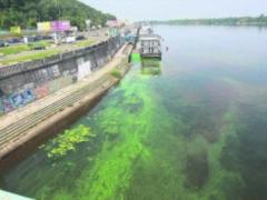 Екологи заявляють про критичність забруднення столичних водойм
