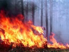 ГСЧС попереджає про пожежну небезпеку в Україні з 22 по 24 липня