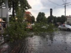 У Львові ліквідують наслідки негоди
