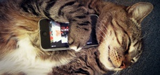 5 речей, до яких ми звикли в еру iPhone