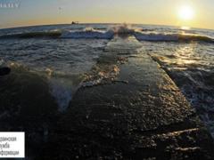 Release of petroleum products to the Black Sea: the culprits are not punished