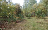 In the Kiev region, two foresters were shot dead