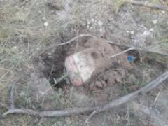 У Луганській області поліція запобігла теракту