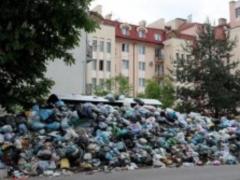 На Львівщині виявлено незаконне звалище сміття