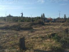 У Волгограді вирубали Парк вдів, де 50 років росли дерева на честь героїв Другої світової