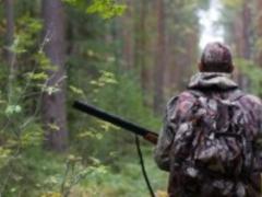 В Украине ежегодно задерживают десятки тысяч браконьеров, - Семерак