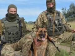 Саперы обезвредили возле Славянска около 600 взрывоопасных предметов
