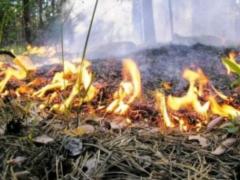 В Україні оголошено найвищий рівень пожежної небезпеки