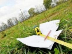 На Житомирщине предприятие захватило 80 гектаров земель