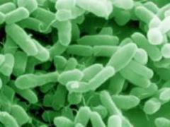 Scientists have found an alternative to surgical sterilization