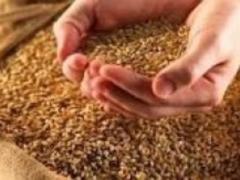 Agrarians have already harvested 27 million tons of grain