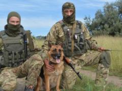 Headquarters: the situation in the ATO has not changed significantly