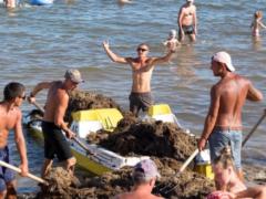 In the occupied Yevpatoriya, specialization: the export of manure by catamarans