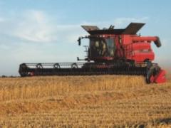 The Ministry of Agrarian Policy predicted a grain crop for this year
