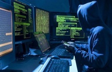 Кожну другу корпоративну ІТ-систему може зламати недосвідчений хакер