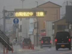 In Japan, because of the typhoon, 50 people were injured