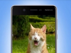 Відео з кошенятами викрило фінальний дизайн Nokia 8