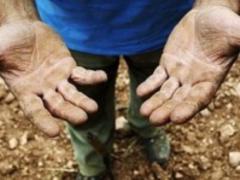 In Lithuania, they found a channel through which Ukrainians were sold into labor slavery