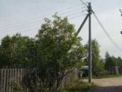 Спиляне дерево знеструмила водонасосну станцію і перекрило рух на ЖД