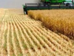 Ukraine has already exported almost 4 million tons of grain