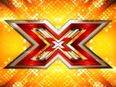10 interesting facts about the project  X-factor 