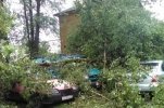The wildfire in the Novgorod region