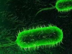 У Миколаївській області виявили збудник холери