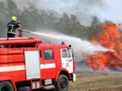 У Києві передають високу пожежну небезпеку
