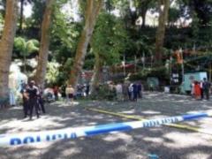 In Portugal, a 200-year-old oak fell, 11 people died