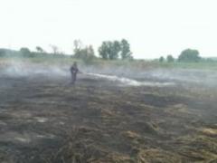In the Poltava region, peat bogs are already burning for the fourth day - the State Emergency Service