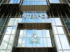 Інтерпол оголосив у розшук картини Музейного фонду України
